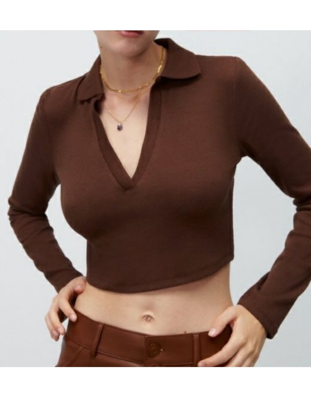 Zara Brown Long Sleeve Collared Crop Top